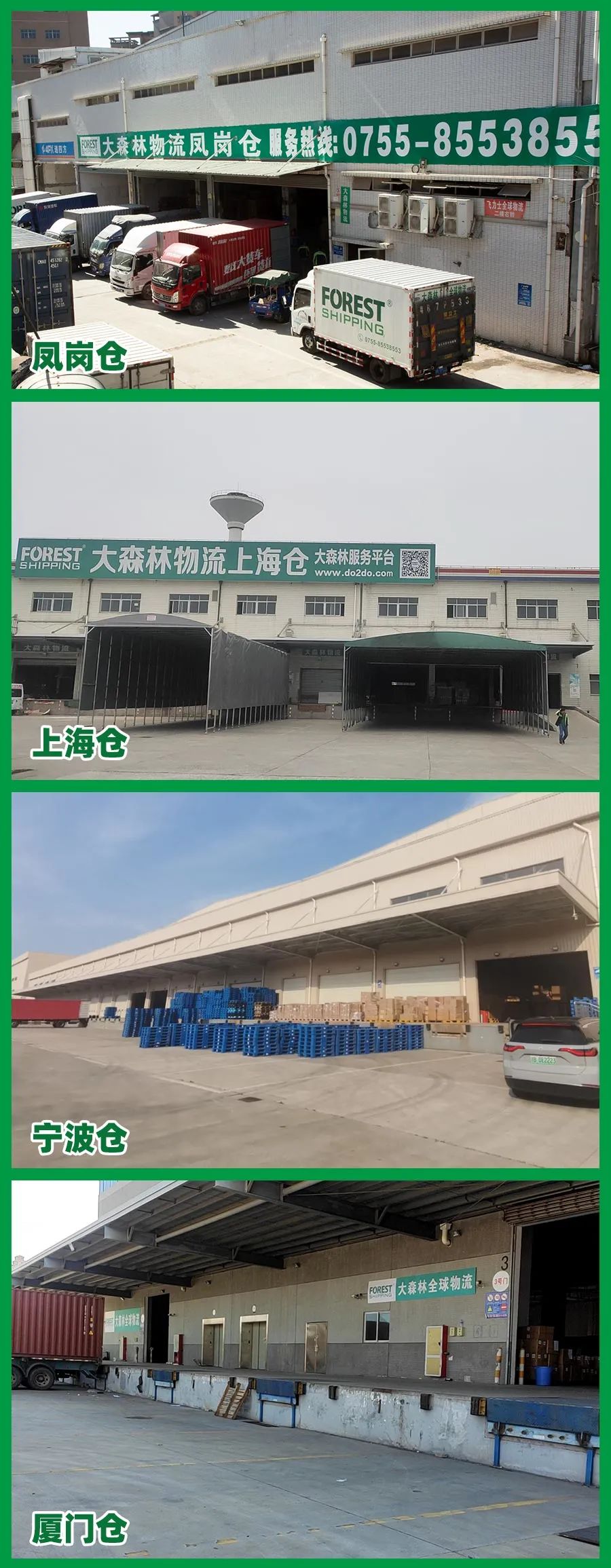 大森林倉