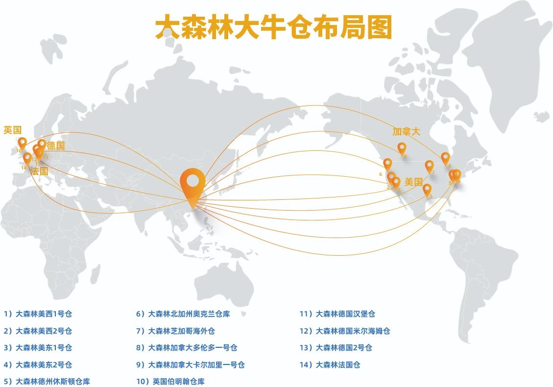 大森林2024年度報(bào)告