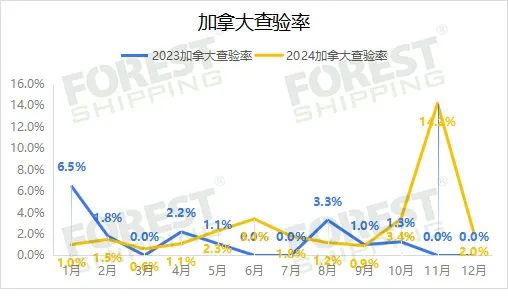 大森林2024年度報(bào)告