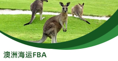 澳洲專(zhuān)線FBA